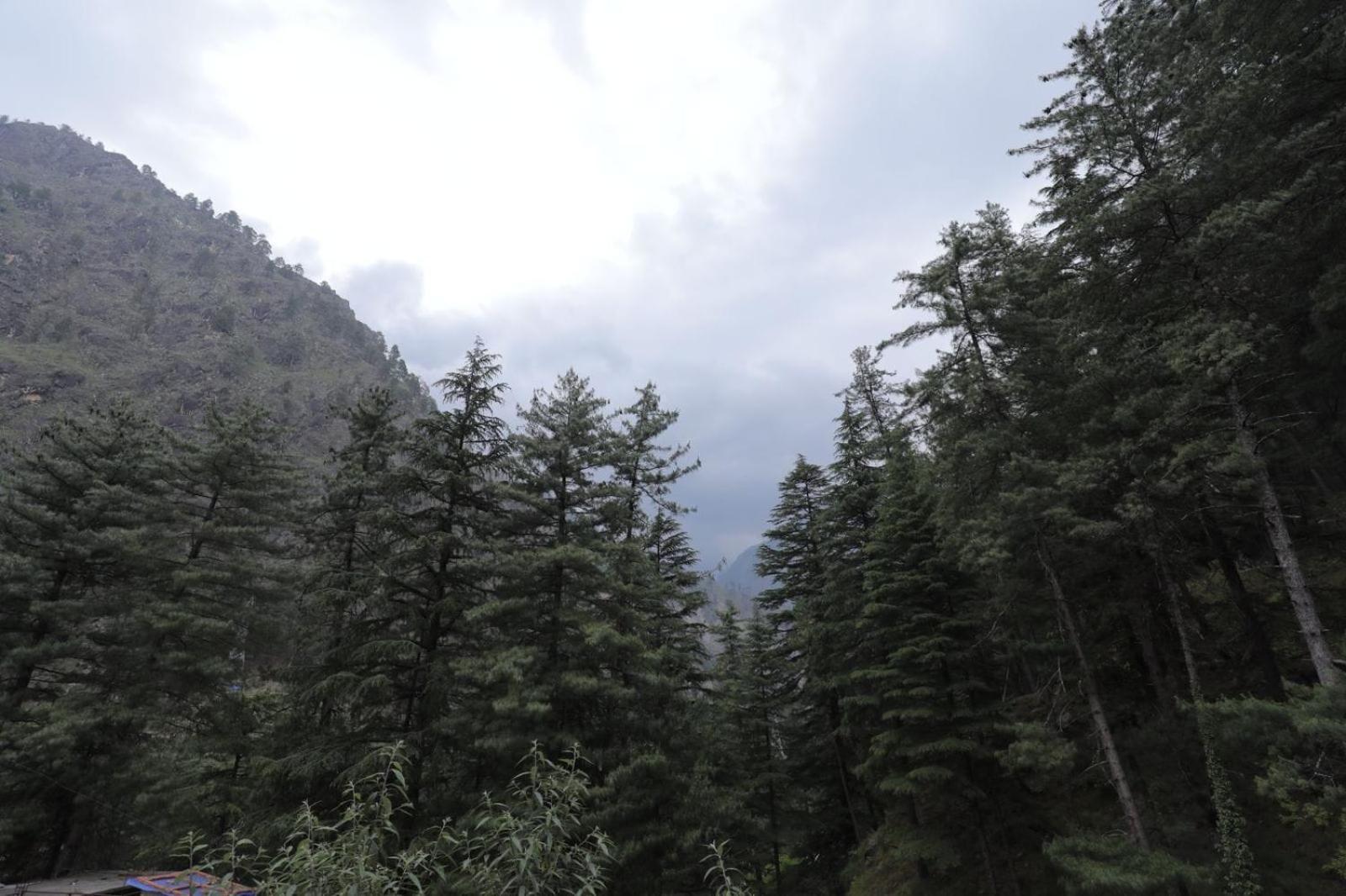 Shangri-La Rooms & Restaurant Kasol Εξωτερικό φωτογραφία